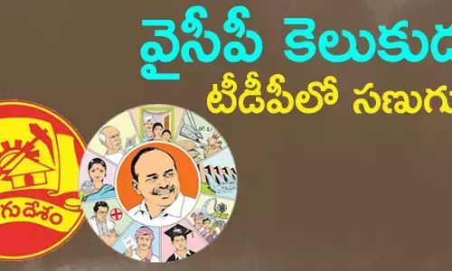 టీడీపీ
