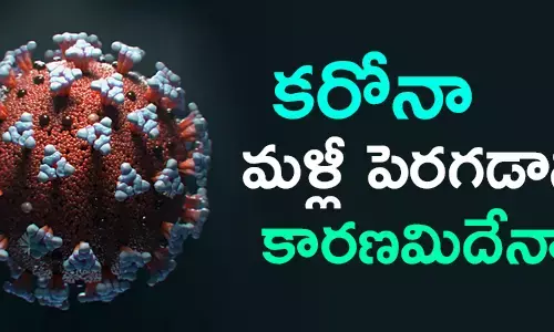 కరోనా కేసులు