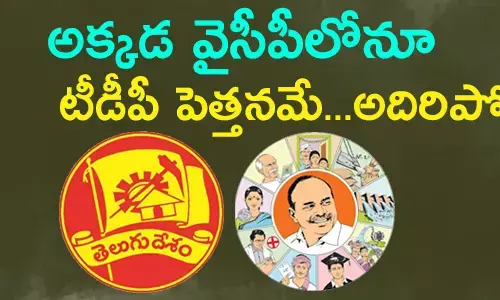 వైసీపీ