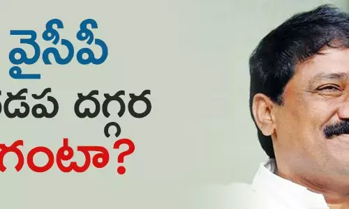 గంటా శ్రీనివాసరావు