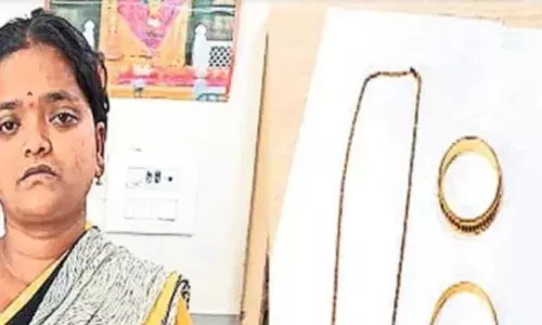 పనిమనిషి