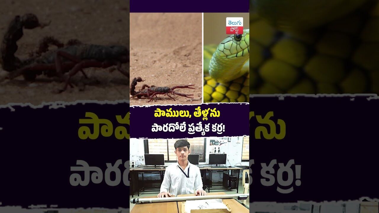పాములు, తేళ్లను పారదోలే ప్రత్యేక కర్ర! #Innovation #Gujarat #FarmSafety #Students #Technology