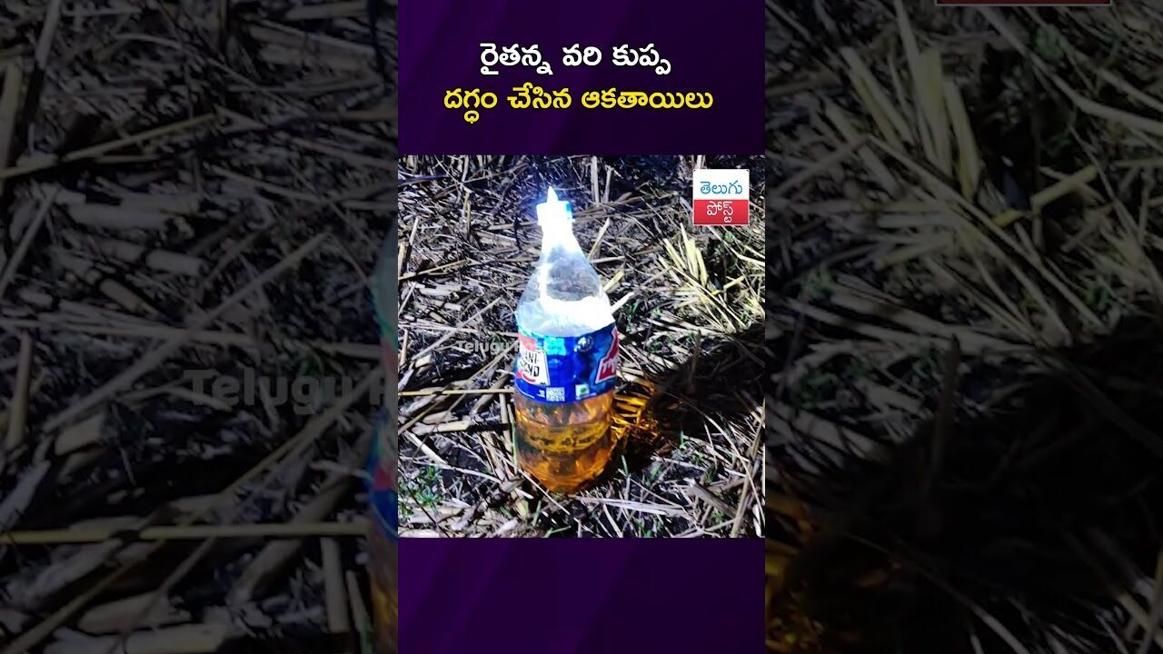 రైత‌న్న వ‌రి కుప్ప ద‌గ్ధం చేసిన ఆక‌తాయిలు #Crime #Bapatla #FireAccident #Farmer