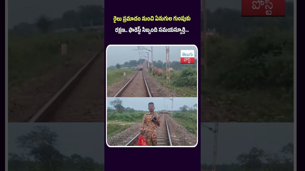 రైలు ప్రమాదం నుంచి ఏనుగుల గుంపుకు రక్షణ.. ఫారెస్ట్ సిబ్బంది సమయస్ఫూర్తి...