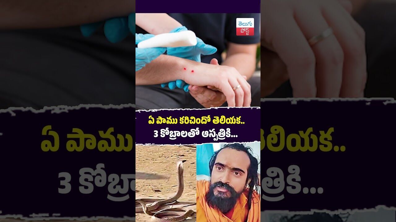 ఏ పాము కరిచిందో తెలియక.. 3 కోబ్రాలతో ఆస్పత్రికి... #Bihar #Rohas #SnakeBite #ForestDepartment
