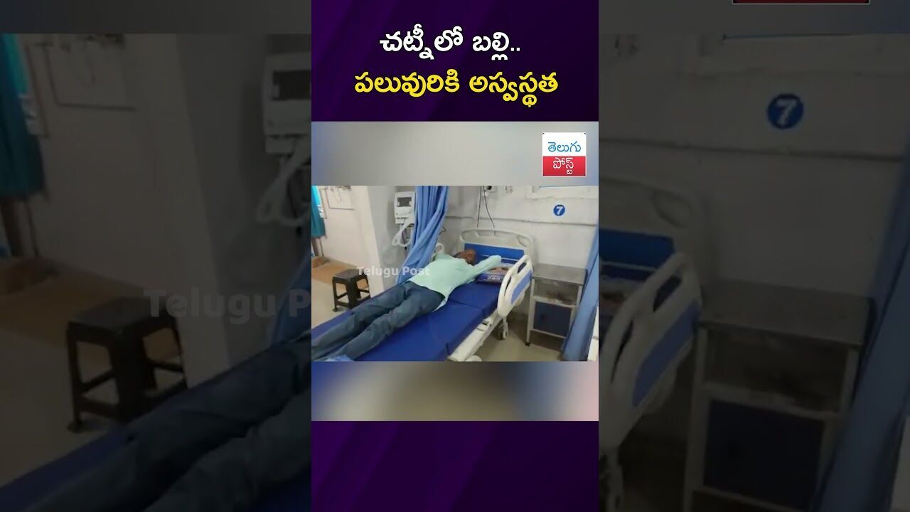 చట్నీలో బల్లి.. పలువురికి అస్వస్థత #Jagityal #FoodSafety #PublicHealth #Telangana