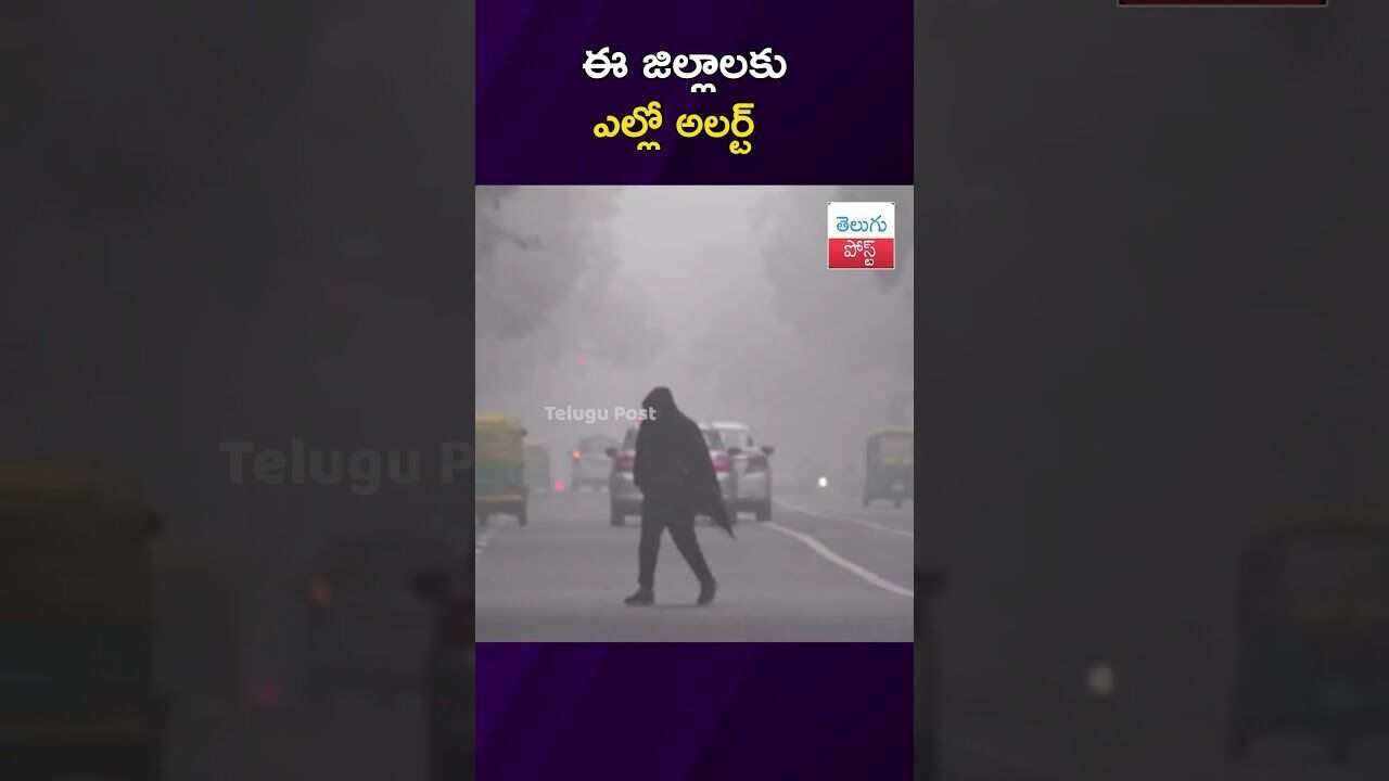 ఈ జిల్లాలకు ఎల్లో అలర్ట్ #Weather #ColdWave #IMD #Telangana #viralvideo #latestnews