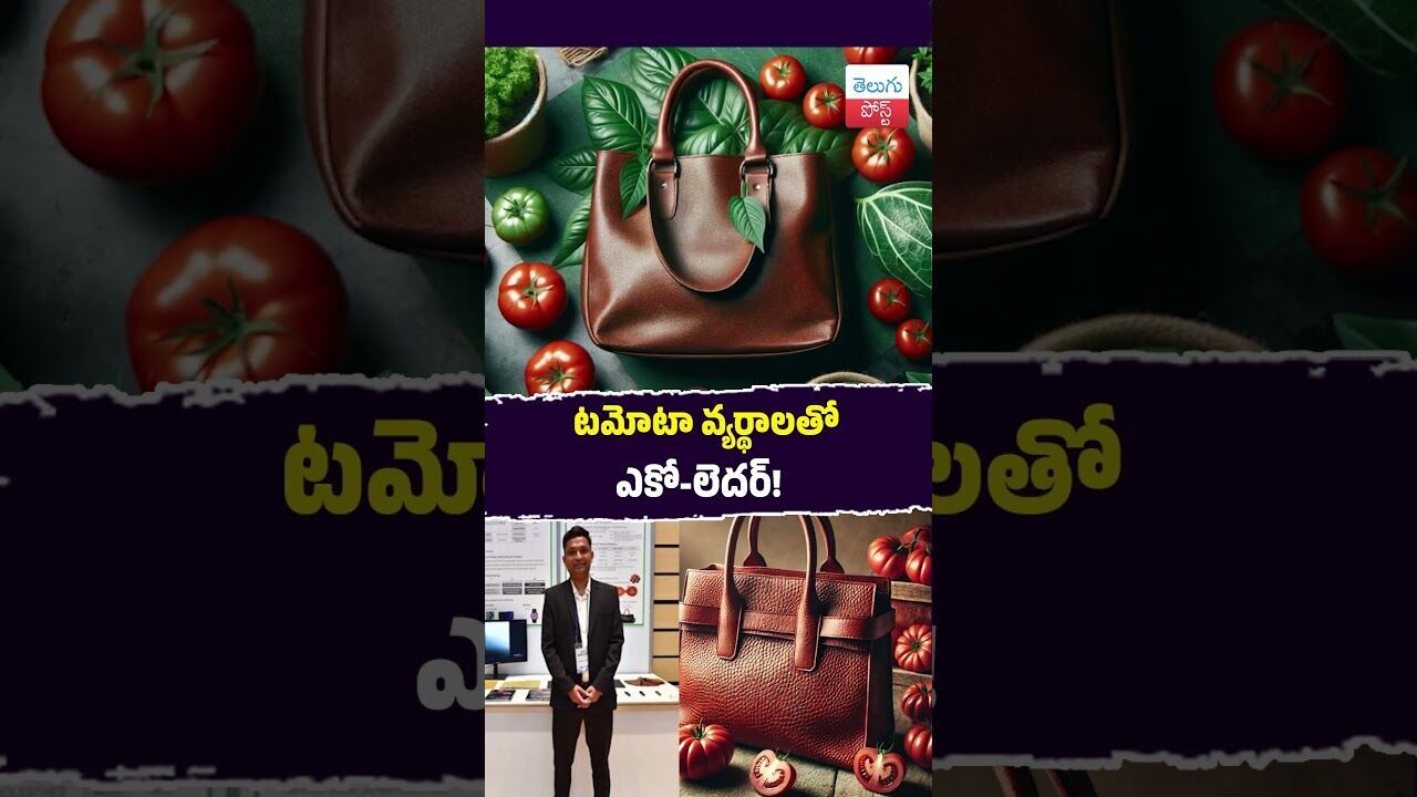 టమోటా వ్యర్థాలతో ఎకో-లెదర్! #Innovation #Mumbai #PETA #VeganFashion #EcoLeatherEDITOR NOTES టమోటా వ్యర్థాలతో ఎకో-లెదర్! #Innovation #Mumbai #PETA #VeganFashion #EcoLeatherEDITOR NOTES