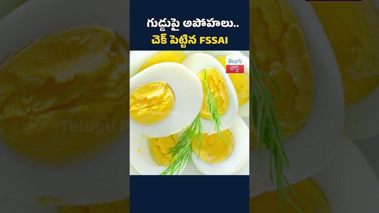 గుడ్డుపై అపోహలు.. చెక్‌ పెట్టిన FSSAI #TeluguPost #telugu #post #news