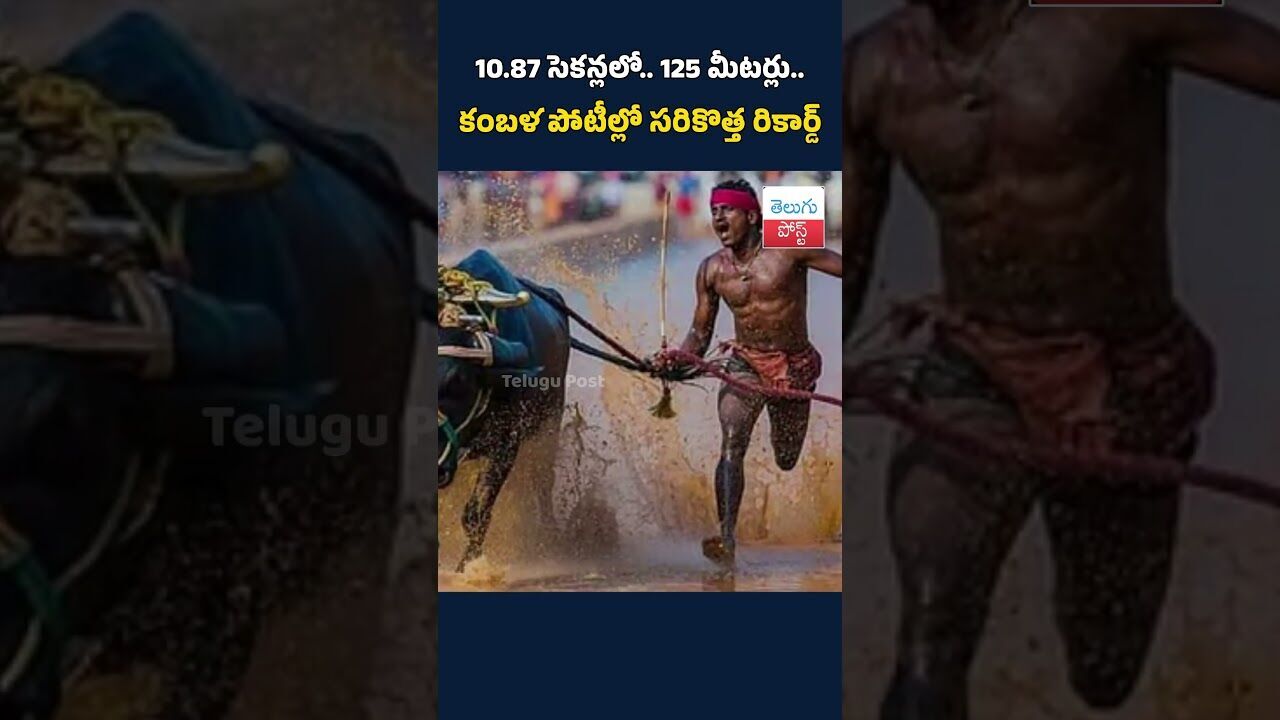 10.87 సెకన్లలో.. 125 మీటర్లు.. కంబళ పోటీల్లో సరికొత్త రికార్డ్‌#Kambala#KambalaRace#WorldRecord