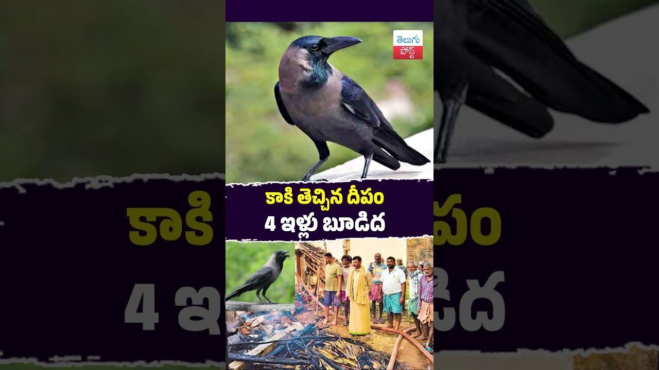 కాకి తెచ్చిన దీపం4 ఇళ్లు బూడిద  #Vizianagaram #FireAccident #Konuru #APFireServices #KarthikaMasam