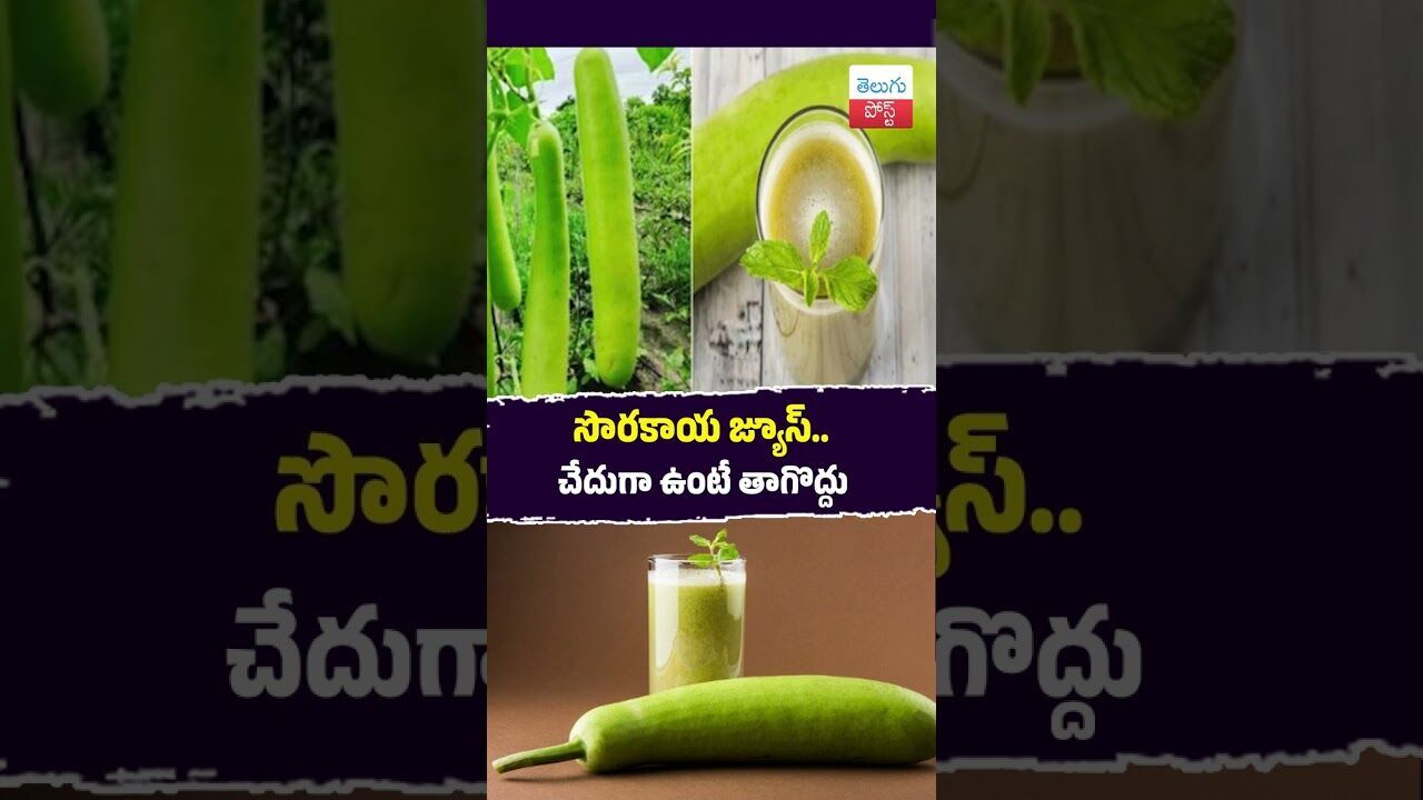 సొరకాయ జ్యూస్.. చేదుగా ఉంటే తాగొద్దు #Health #ICMR #LaukiJuice #Delhi #UP సొరకాయ జ్యూస్.. చేదుగా ఉంటే తాగొద్దు #Health #ICMR #LaukiJuice #Delhi #UP
