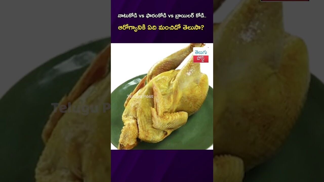 నాటుకోడి vs ఫారంకోడి vs బ్రాయిలర్ కోడి.. ఆరోగ్యానికి ఏది మంచిదో తెలుసా ? #Health #Chicken