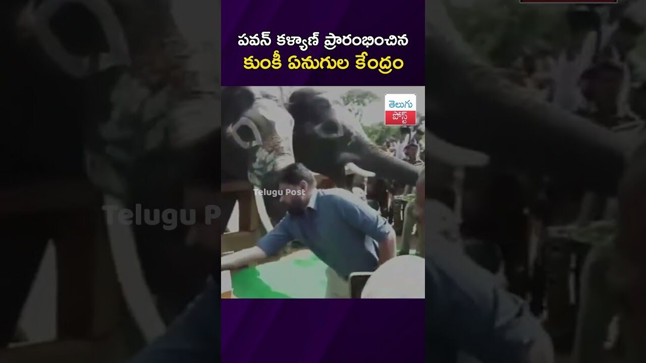పవన్ కళ్యాణ్ ప్రారంభించిన కుంకీ ఏనుగుల కేంద్రం #PawanKalyan #Chittoor #Elephants #Wildlife