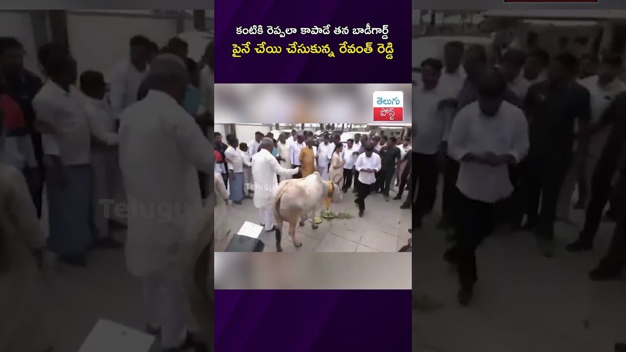 కంటికి రెప్పలా కాపాడే తన బాడీగార్డ్‌ పైనే చేయి చేసుకున్న రేవంత్ రెడ్డి #RevanthReddy #bodyguard