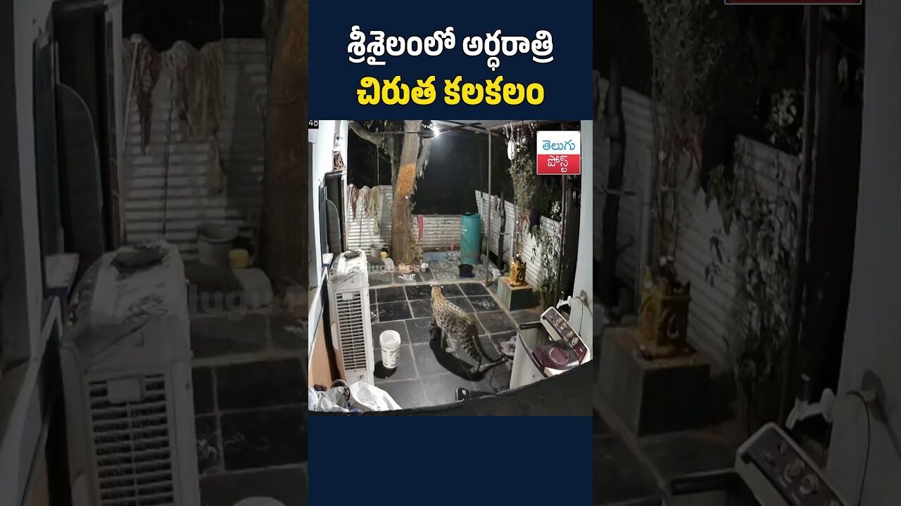 శ్రీశైలంలో అర్ధరాత్రి చిరుత కలకలం#TeluguPost #telugu #post #news