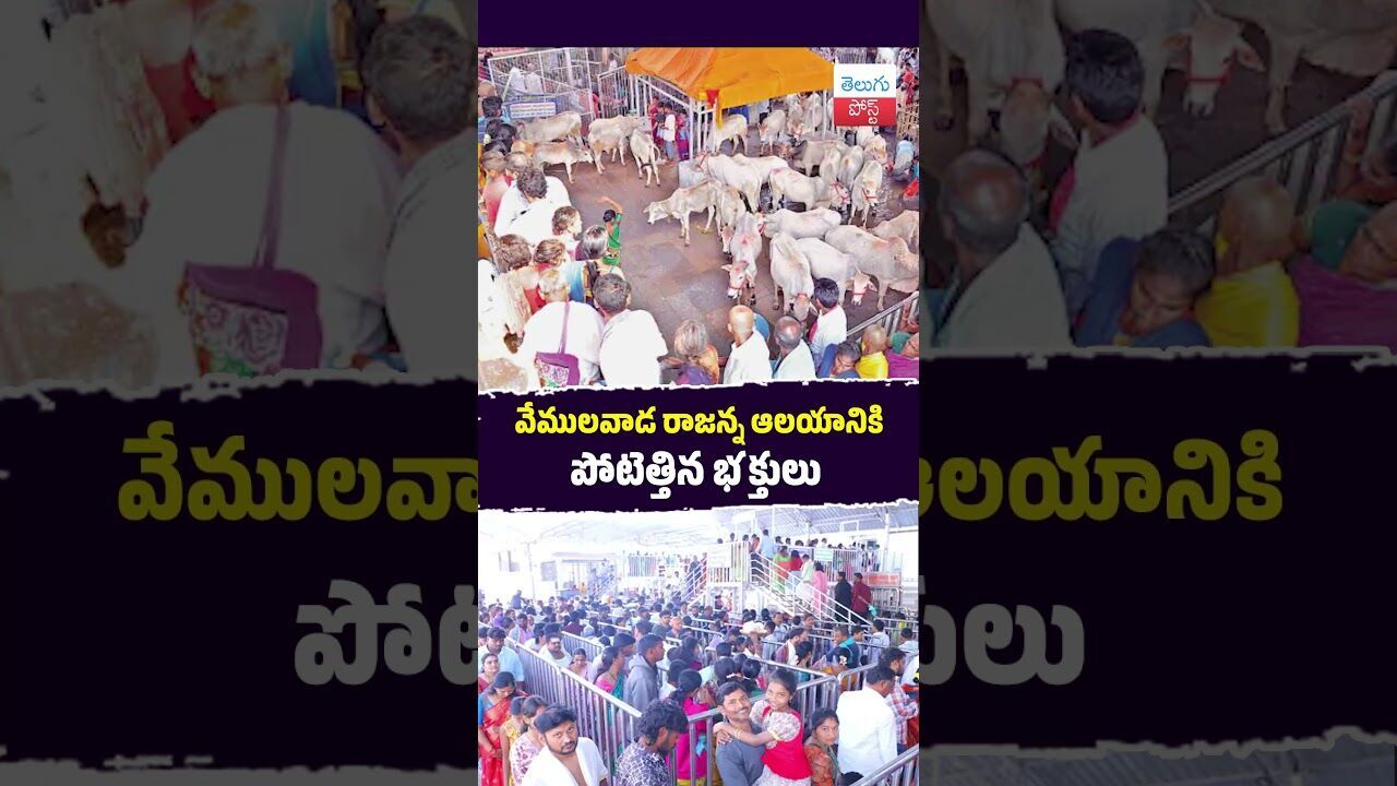 వేములవాడ రాజన్న ఆలయానికి పోటెత్తిన భక్తులు #Vemulawada #TempleRush #RajannaDarshan #Devotees