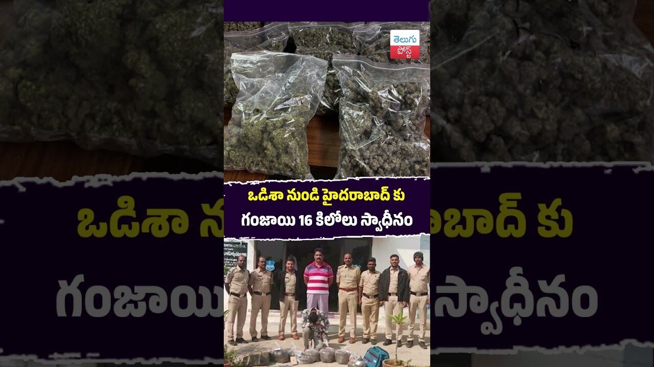 ఒడిశా నుండి హైదరాబాద్ కు గంజాయి 16 కిలోలు స్వాధీనం #Crime #Hyderabad #Police #GanjaSeized ఒడిశా నుండి హైదరాబాద్ కు గంజాయి 16 కిలోలు స్వాధీనం #Crime #Hyderabad #Police #GanjaSeized