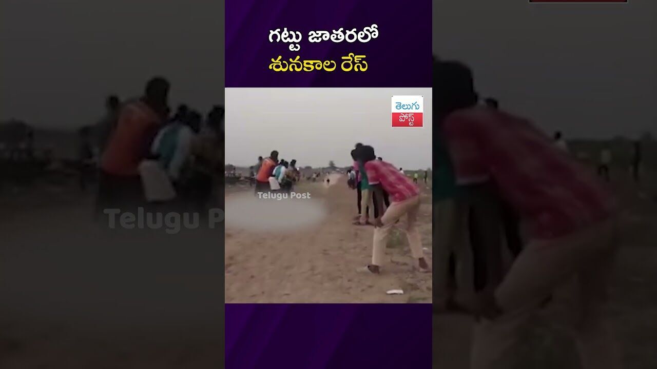 గట్టు జాతరలో శునకాల రేస్ #Gadwal #GattuJathara #Ambabhavani #LocalEvents #FestivalUpdates