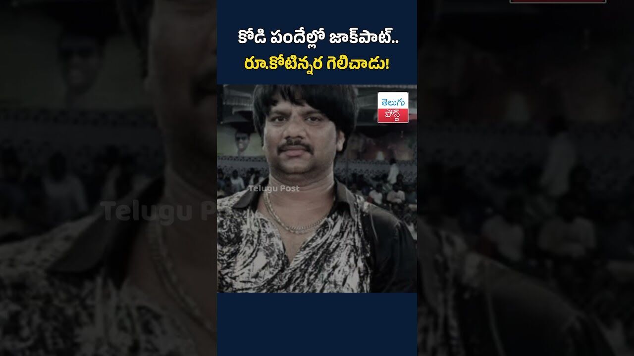కోడి పందేల్లో జాక్‌పాట్.. రూ.కోటిన్నర గెలిచాడు!   #telugupost #Sankranti#Tadepalligudem#WestGodavari
