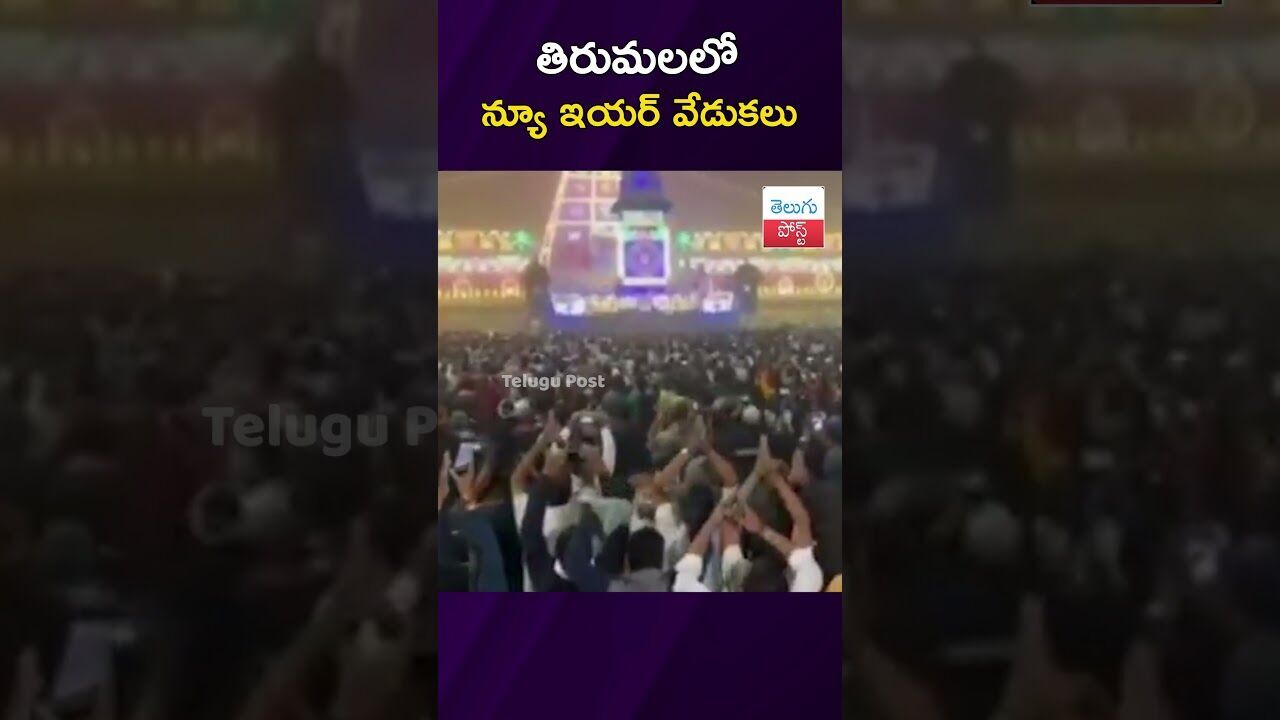 తిరుమలలో న్యూ ఇయర్ వేడుకలు #Tirumala #TTD #NewYear2026 #Devotion #AndhraPradesh తిరుమలలో న్యూ ఇయర్ వేడుకలు #Tirumala #TTD #NewYear2026 #Devotion #AndhraPradesh