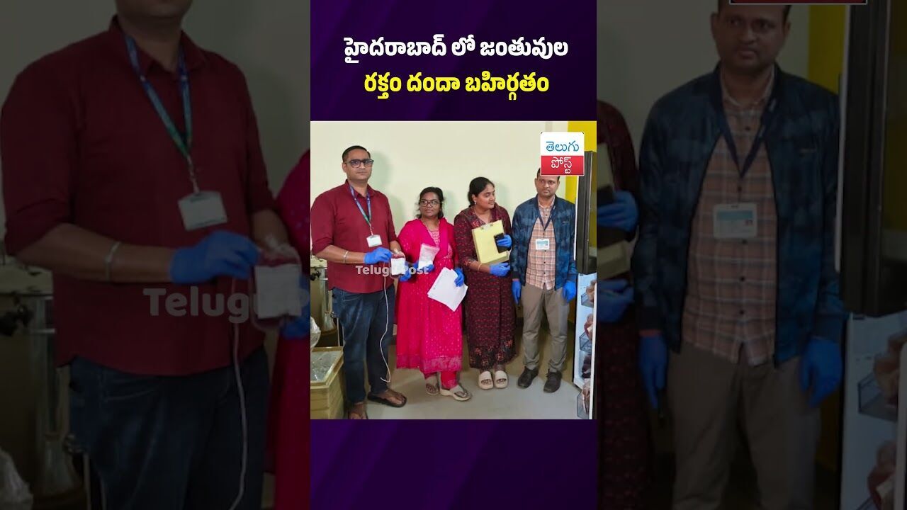 హైదరాబాద్ లో జంతువుల రక్తం దందా బహిర్గతం #Crime #Hyderabad #DrugControl #Police #IllegalTrade హైదరాబాద్ లో జంతువుల రక్తం దందా బహిర్గతం #Crime #Hyderabad #DrugControl #Police #IllegalTrade