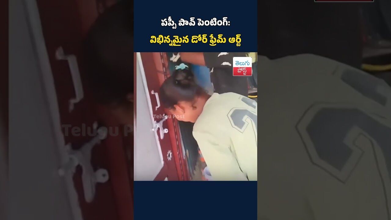 పప్పీ పావ్ పెంటింగ్‌: విభిన్నమైన డోర్ ఫ్రేమ్ ఆర్ట్#telugupost #viralvideo #trendingvideo #puppy