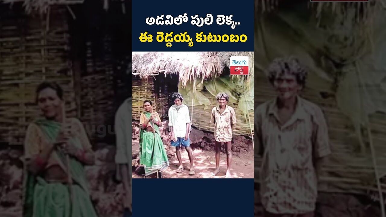 అడవిలో పులి లెక్క.. ఈ రెడ్డయ్య కుటుంబం#telugupost #trendingnews #badradrikothagudemdist అడవిలో పులి లెక్క.. ఈ రెడ్డయ్య కుటుంబం#telugupost #trendingnews #badradrikothagudemdist