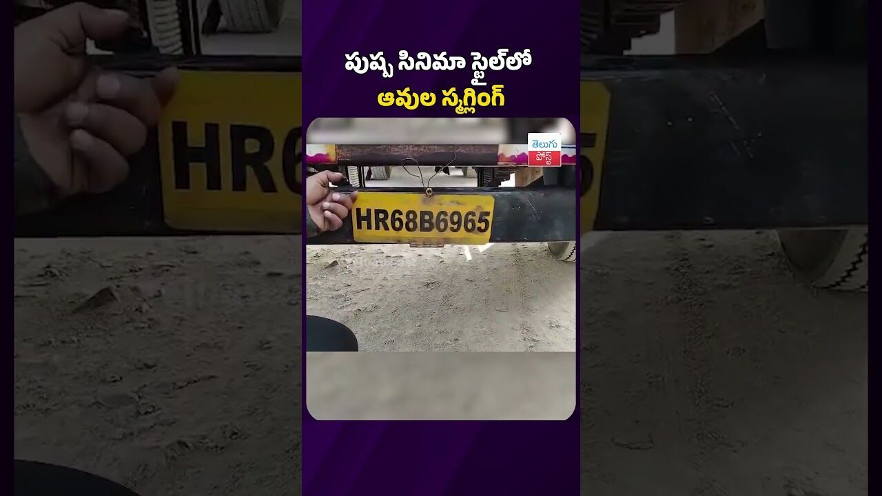 పుష్ప సినిమా స్టైల్‌లో ఆవుల స్మగ్లింగ్ #telugupost #pushpa #smugglers #smuggling #cows