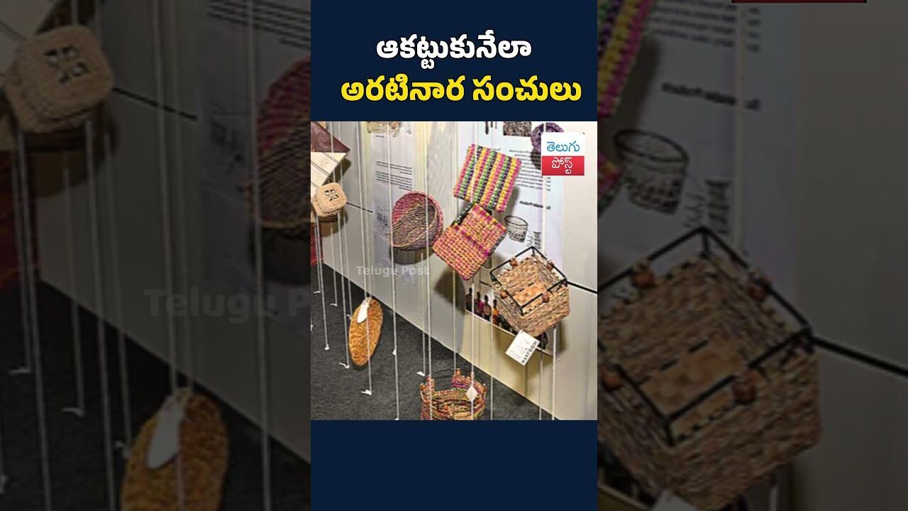 ఆకట్టుకునేలా అరటినార సంచులు#telugupost #bananabags #APNews #ViralNewsUpdate ఆకట్టుకునేలా అరటినార సంచులు#telugupost #bananabags #APNews #ViralNewsUpdate