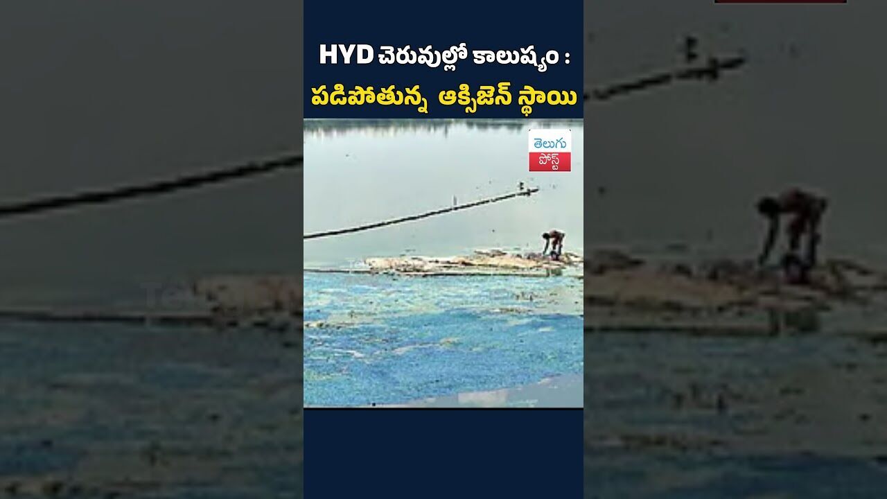 HYD చెరువుల్లో కాలుష్యం: పడిపోతున్న ఆక్సిజన్ స్థాయి #telugupost  #latestnews  #hyderabad #cheruvu