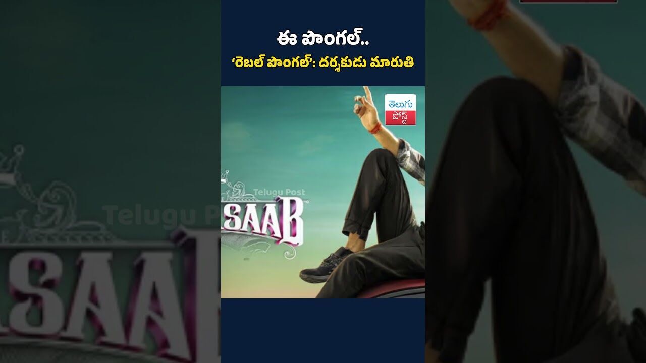 ఈ పొంగల్‌.. ‘రెబల్‌ పొంగల్‌’: దర్శకుడు మారుతి |#rajasaab #prabhas #tollywood #newmovies